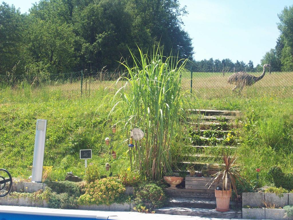 Gaestehaus Fidelis Grafenwiesen Luaran gambar